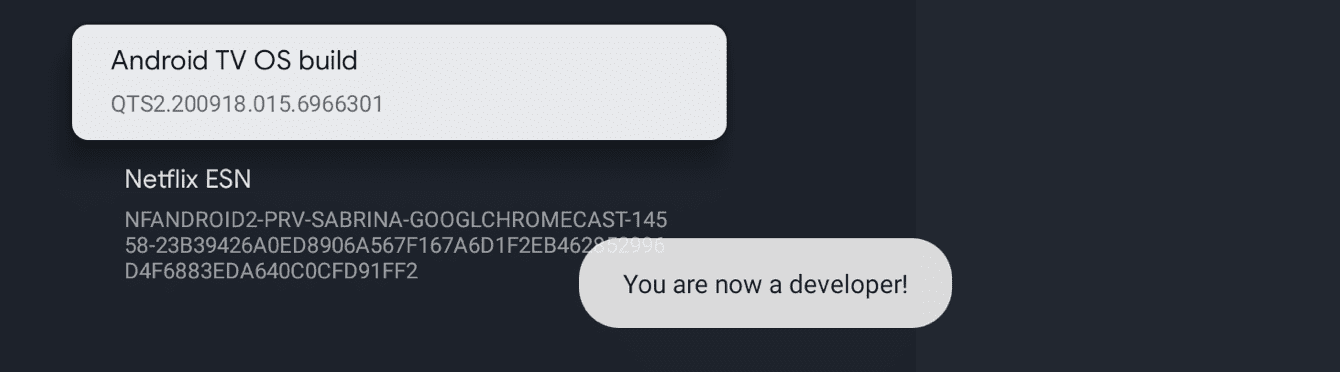 ค้นหา “บิลด์ระบบ Android TV OS” เลือกซ้ำจนแสดงว่า “ตอนนี้คุณเป็นนักพัฒนาแล้ว!”