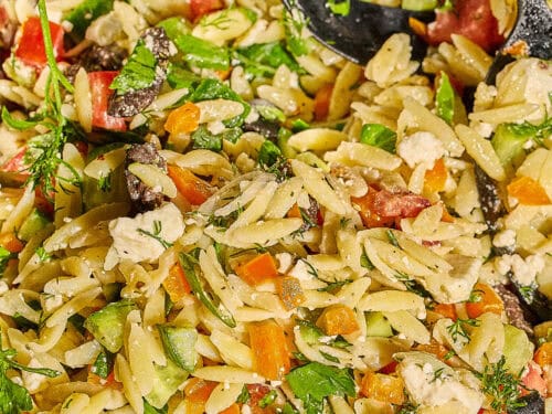 Orzo Pasta Salad Recipe